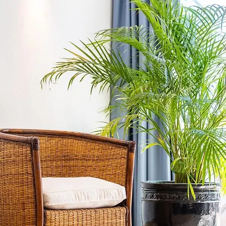 Апартаменти Stunning Terrace With Ocean View *