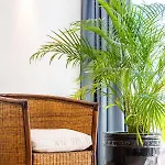 Appartement Stunning Terrace With Ocean View *